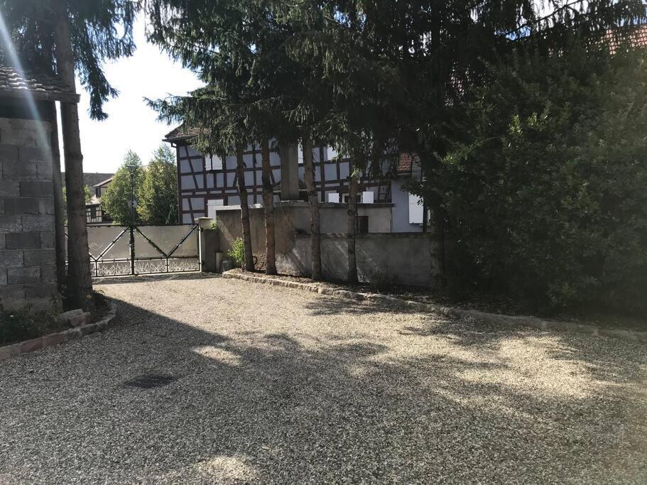 Paisible Logement Tout Equipe Pour 1 A 6 Personnes Ebersheim Экстерьер фото