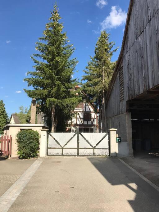 Paisible Logement Tout Equipe Pour 1 A 6 Personnes Ebersheim Экстерьер фото